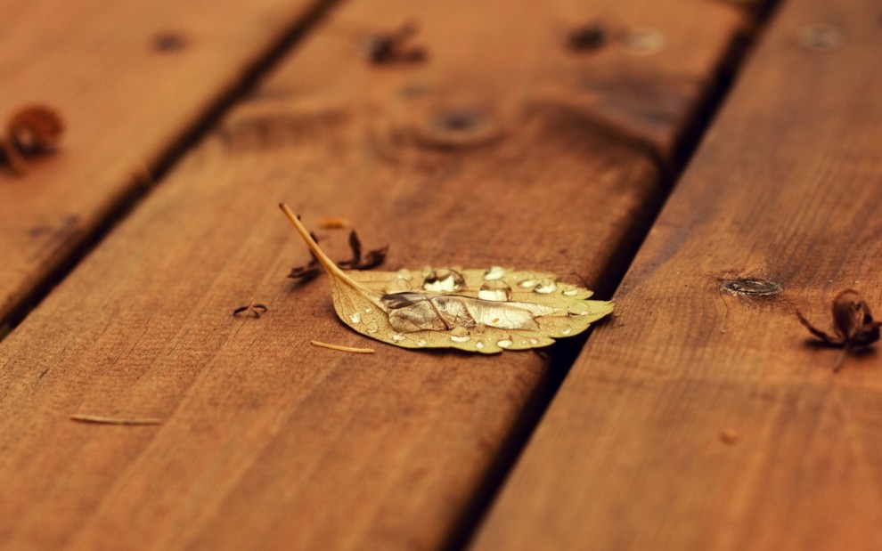 Responding to Disappointment