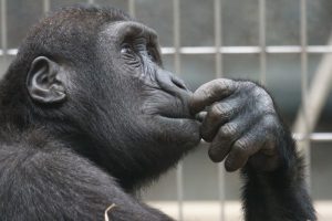 devotional on pondering