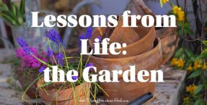 Devotional Lessons from Life: the Garden