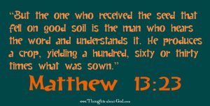 #Devotional on Matthew 13:23