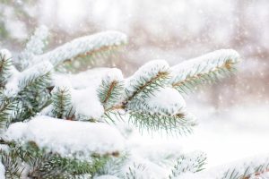 winter scene Devotional