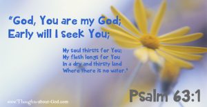 Psalm 63:1 God, You are my God; Early will I seek You;
