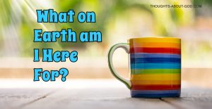 what are we here for?
