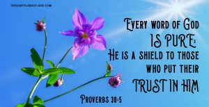 Proverbs 30:5