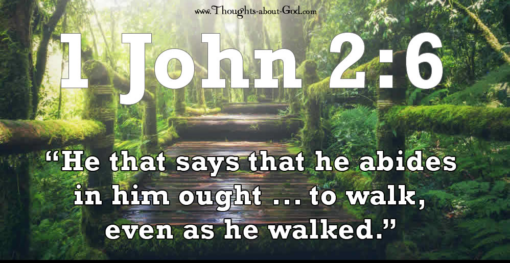walking-as-he-walked-devotional-by-roy-lessin
