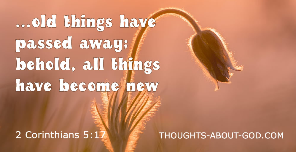 God Uses People A Devotional By Max Lucado