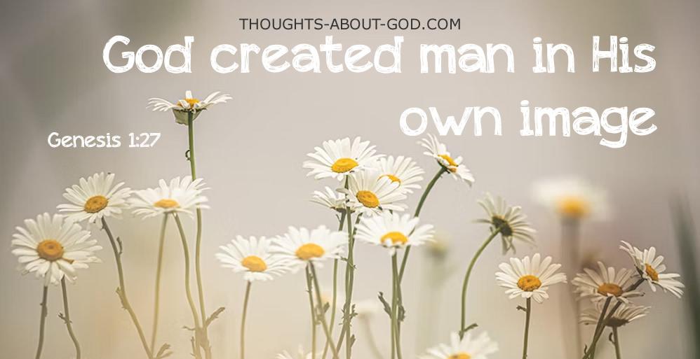 The DNA - A Devotional by John Grant