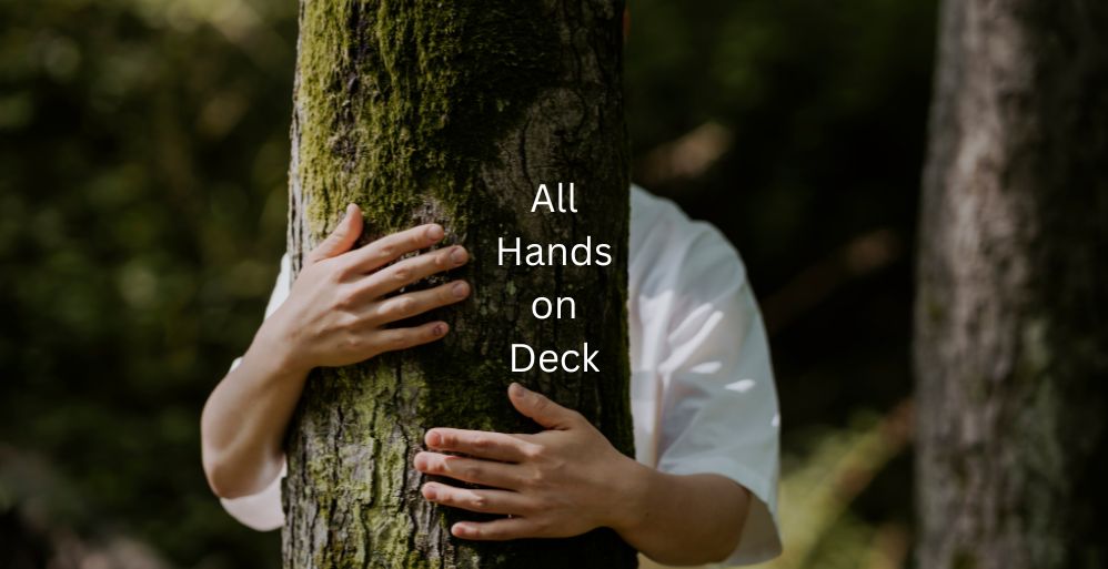 All Hands on Deck