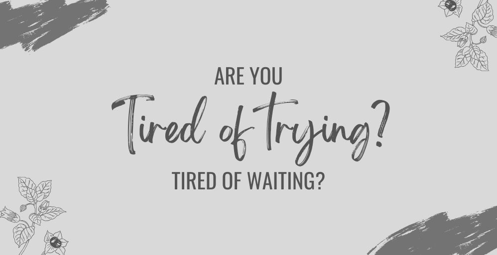 6 Verses for When You Feel Stuck