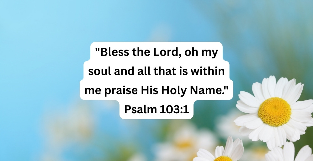 The Joy of the Lord!