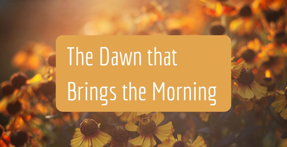 The Dawn that Brings the Morning