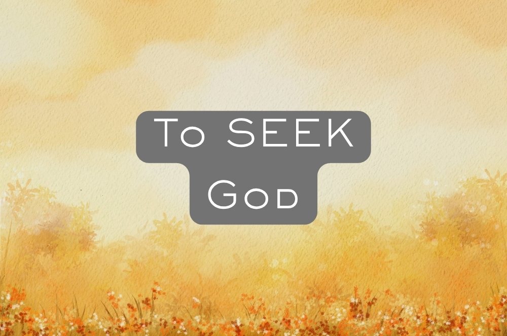 SEEK