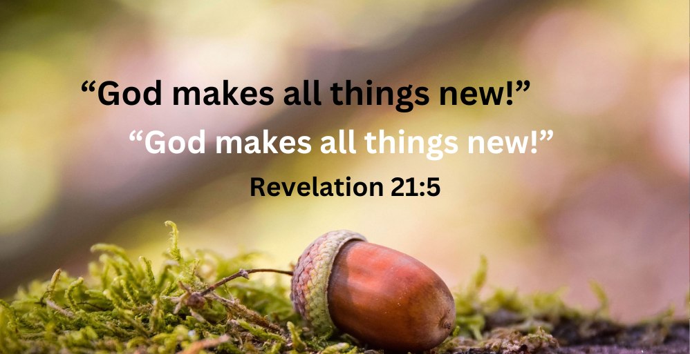 All Things New