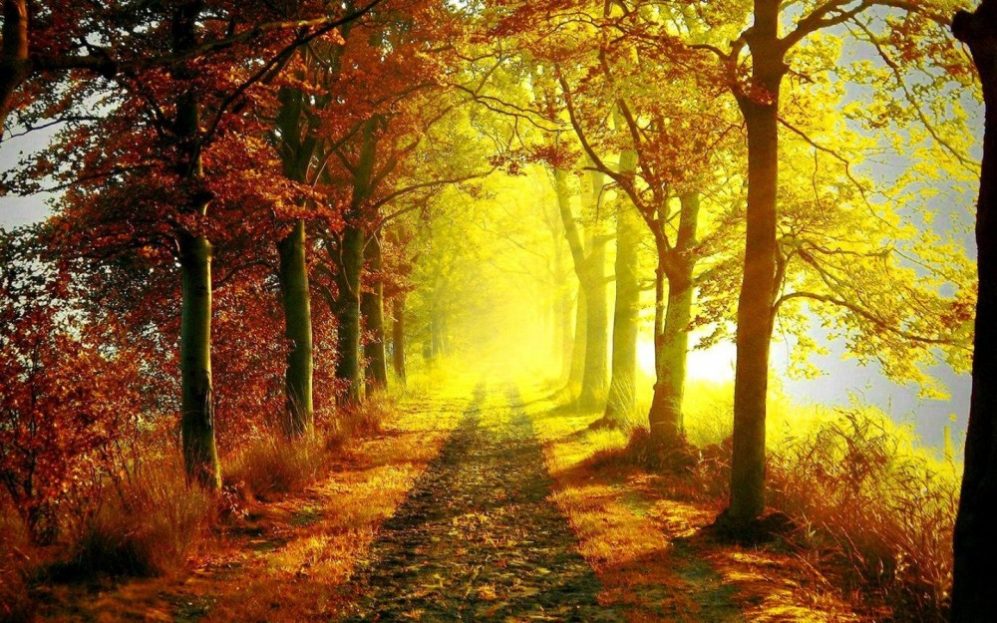 devotional on light