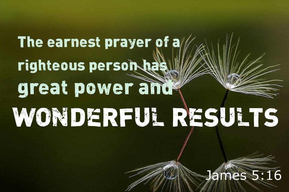 devotional on bearing fruit James 5:16