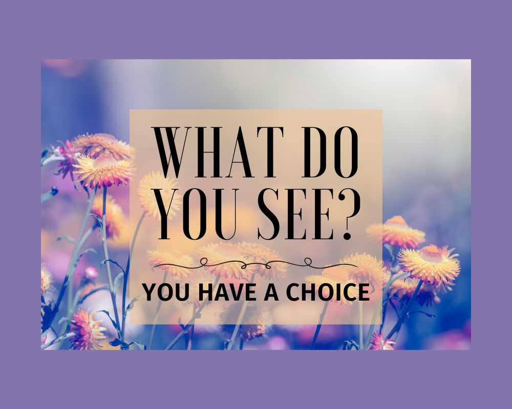What Do You See?