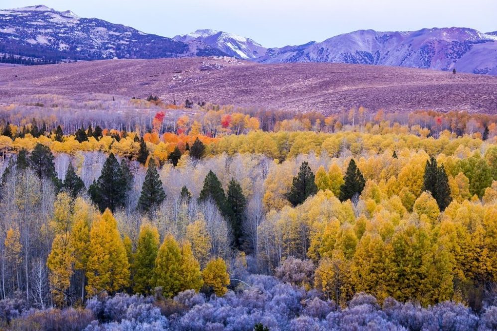 feature scen mountain autumn