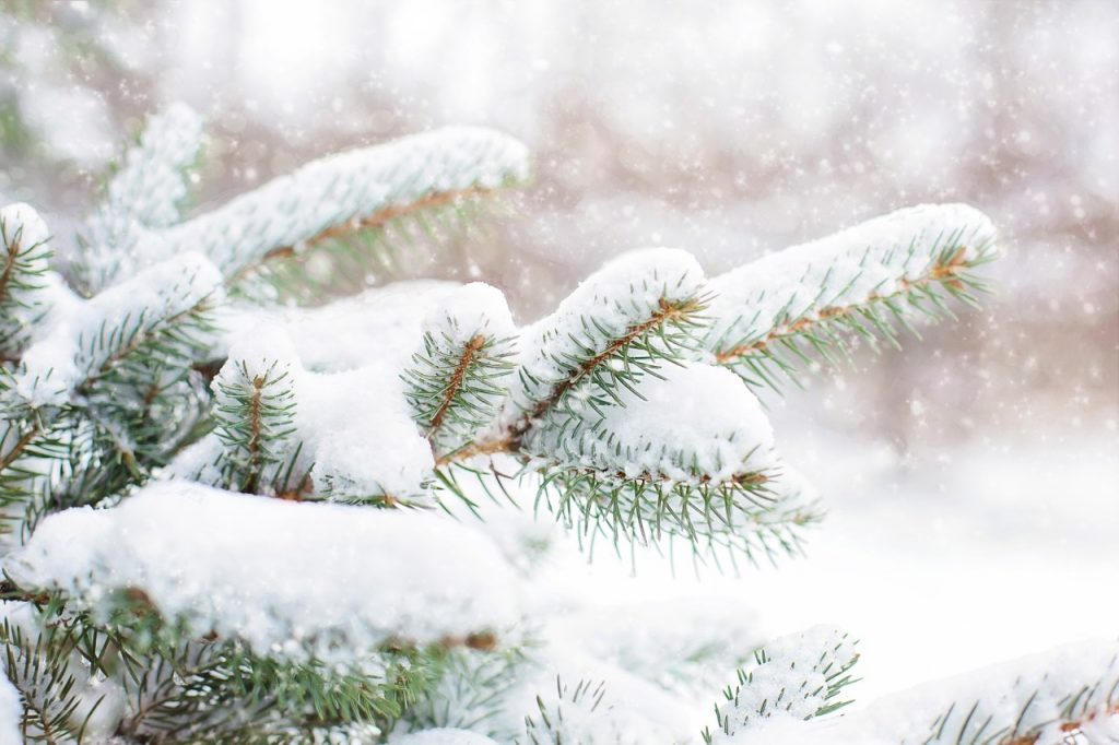 winter scene Devotional