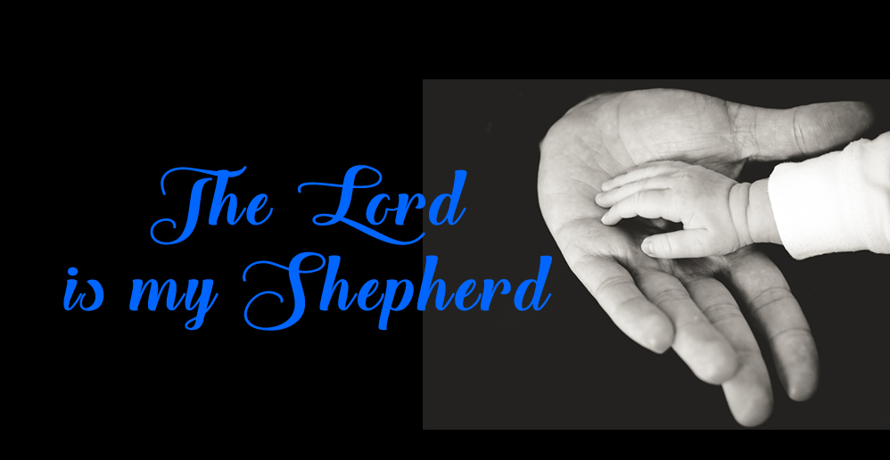 Psalm 23 Reflection