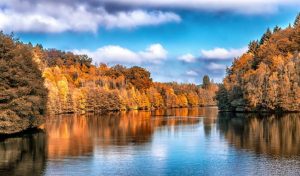 stillness autumn beauty nature scene