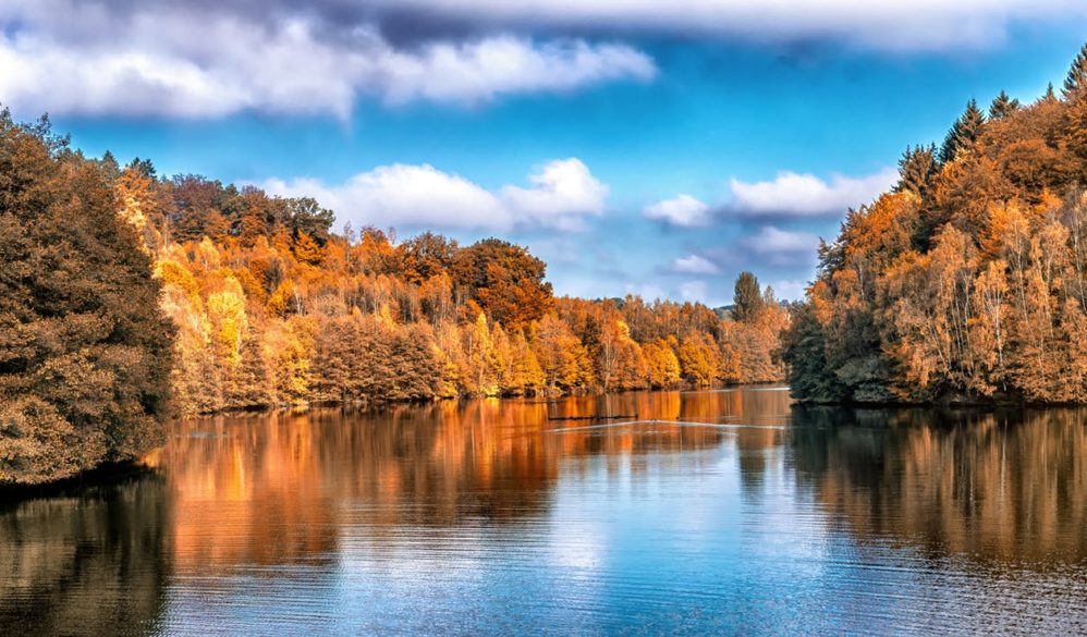 stillness autumn beauty nature scene