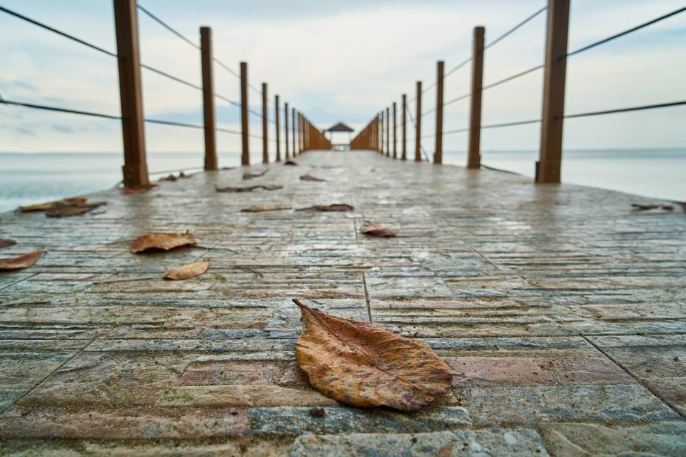 dry leave on pier. Failing marriage. Save marriage