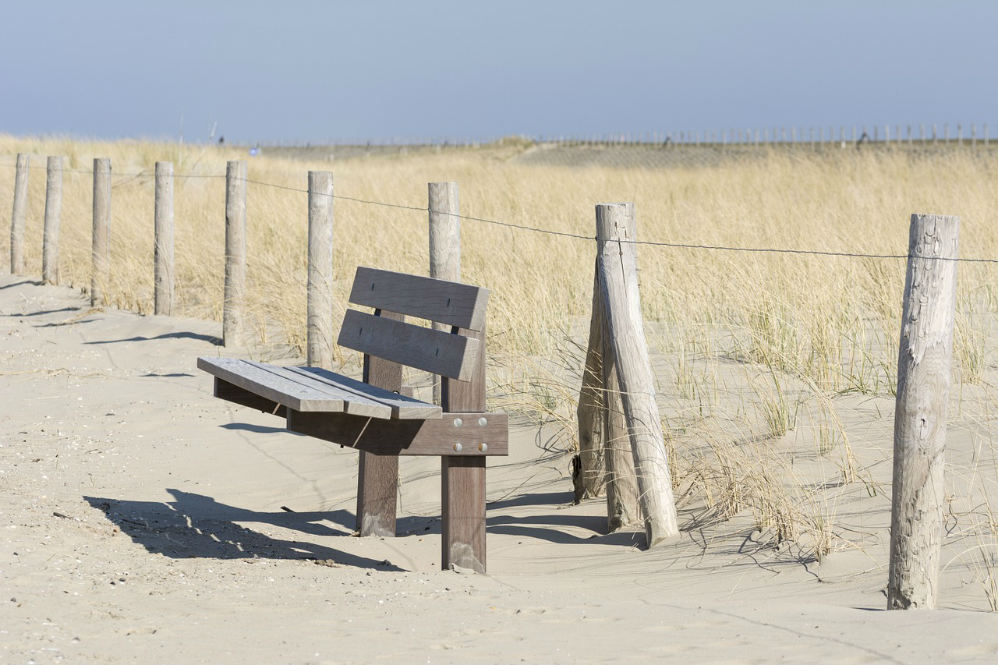 bench prairie field serene peaceful
