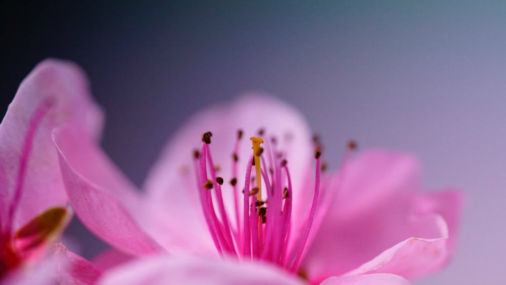 Mothers Day Sample Prayers