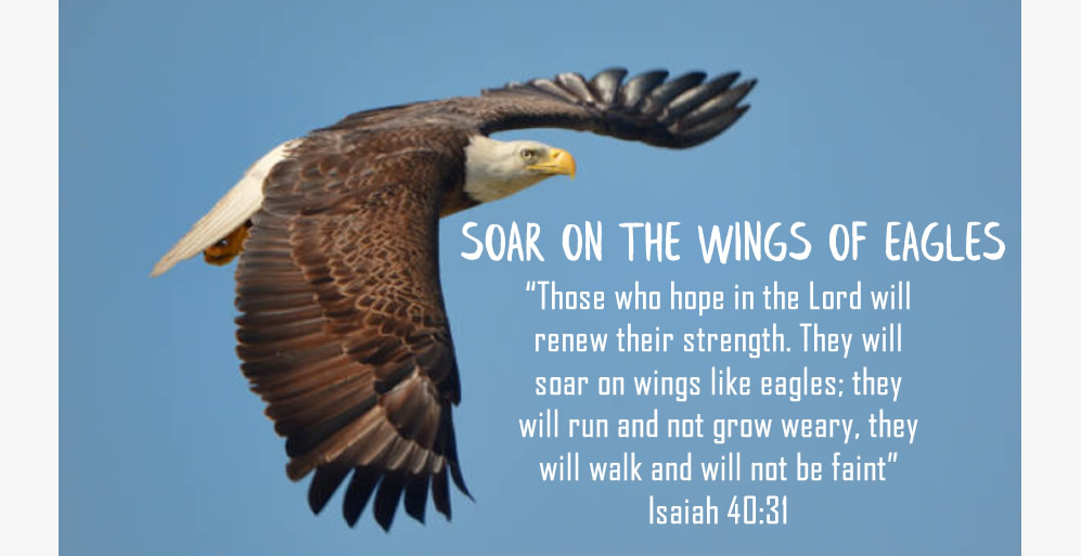 Hope in the Lord