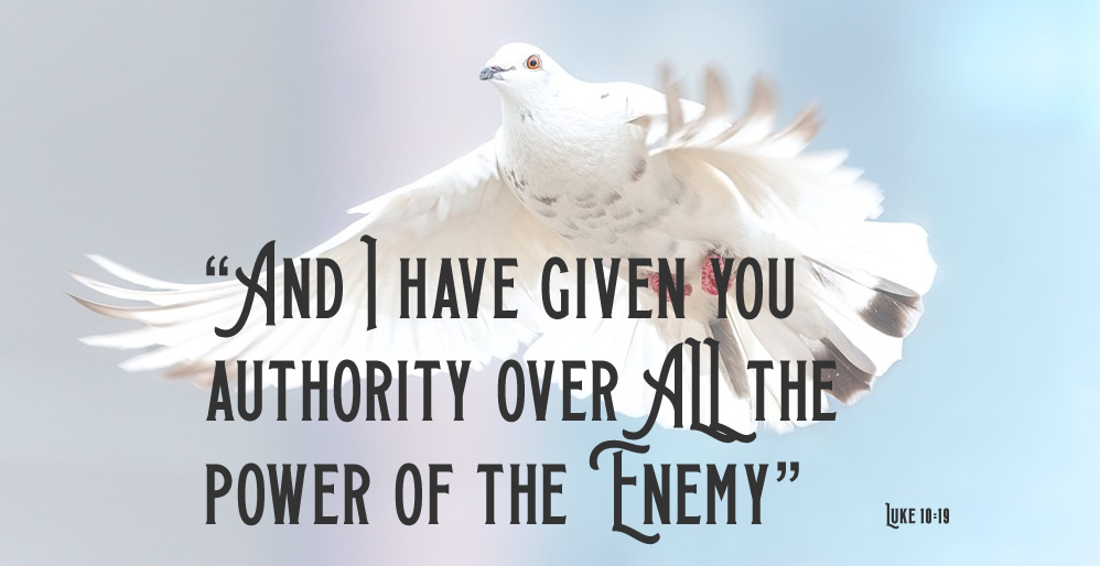 Authority Over the Enemy