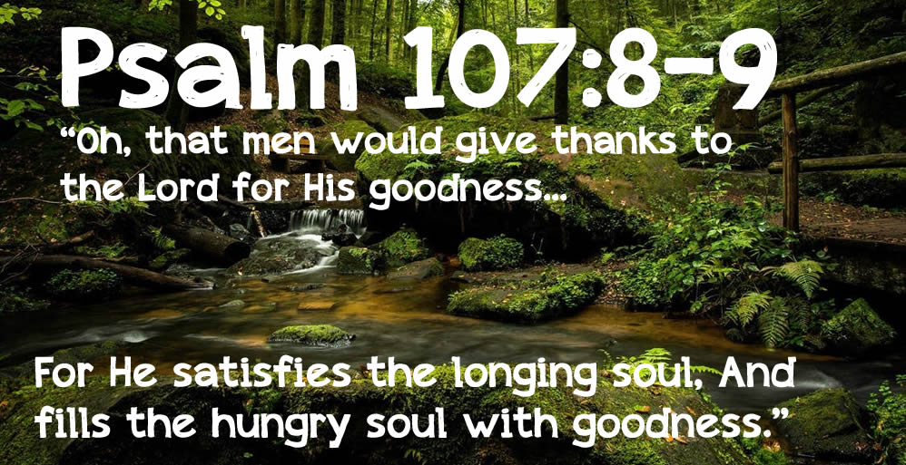 Are You Enjoying the Goodness of the Lord?