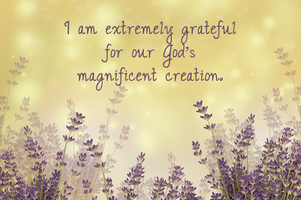 I am Thankful for…