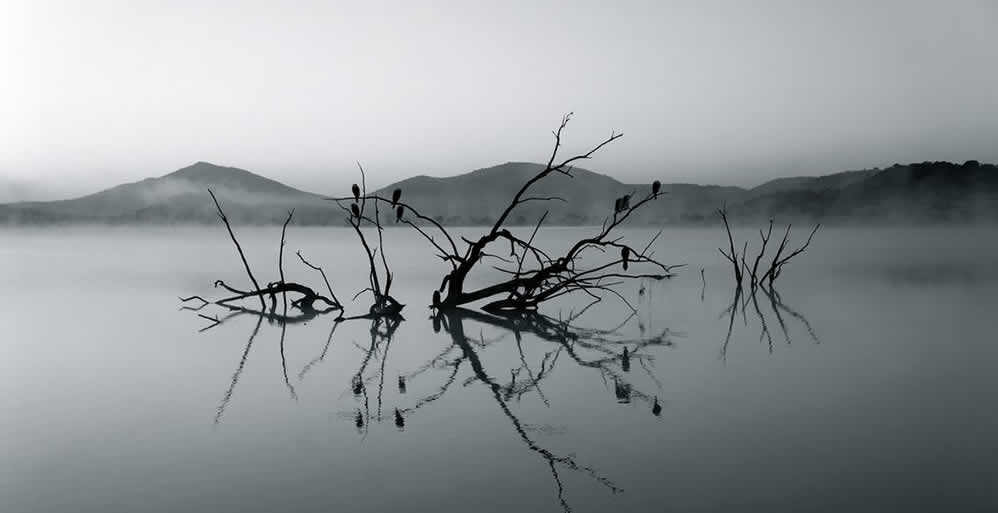 14 Verses for when it Feels Like God is Silent