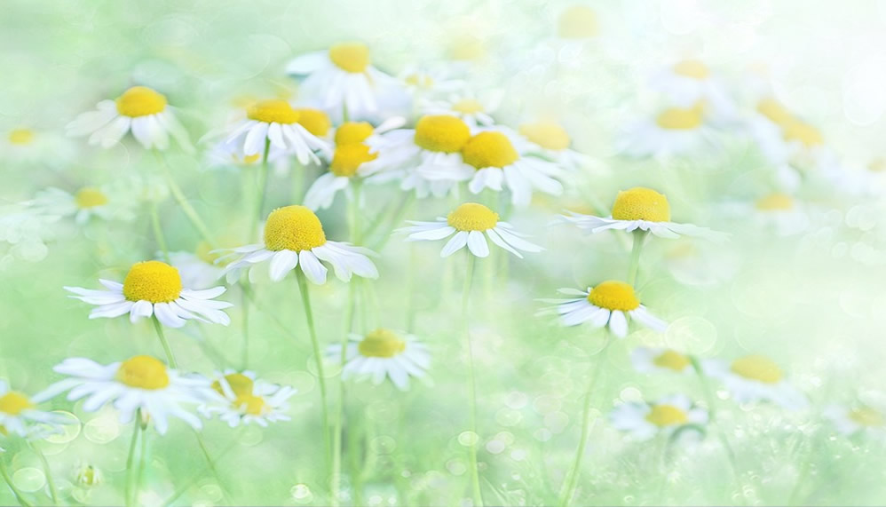 Forgiveness is Good For Your Health
