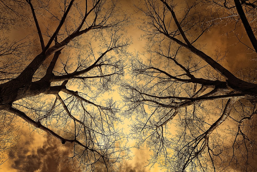 How Can I Deal with Inner Turmoil?
