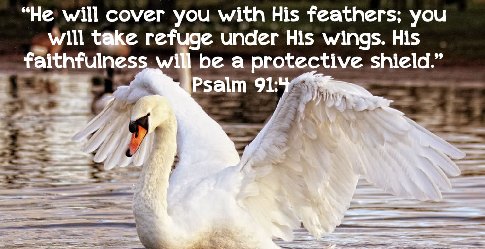 Under His Wings