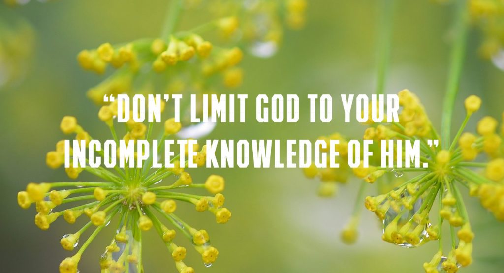 Don’t Limit God