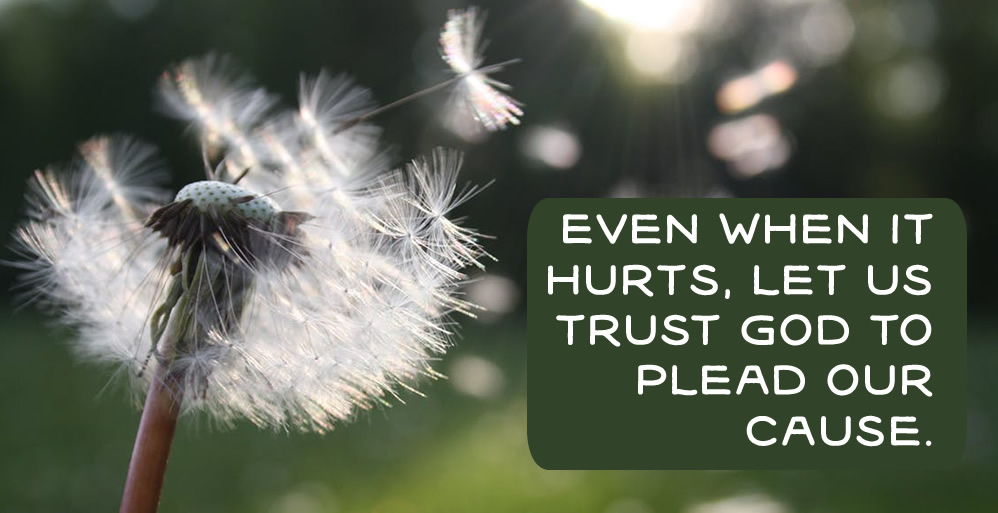 Letting Go, Even When it Hurts