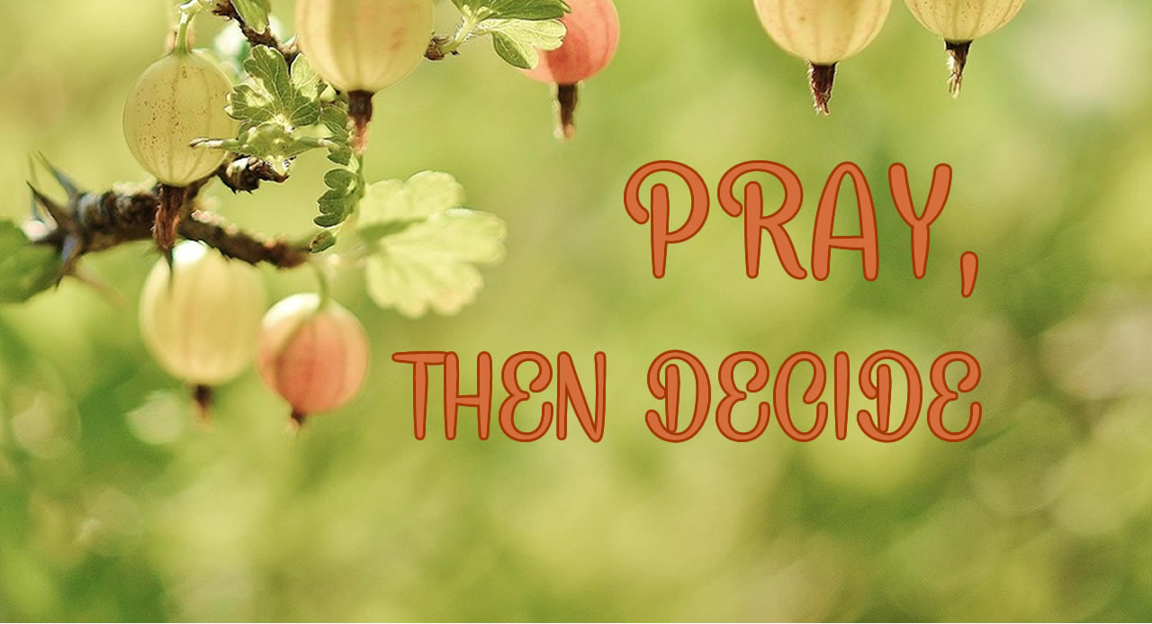 Pray, Then Decide