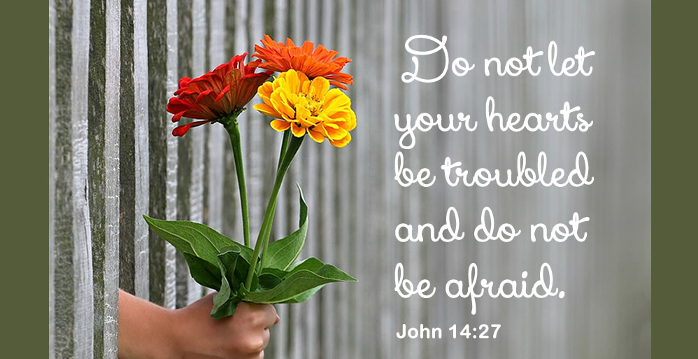 Peace and the Holy Spirit