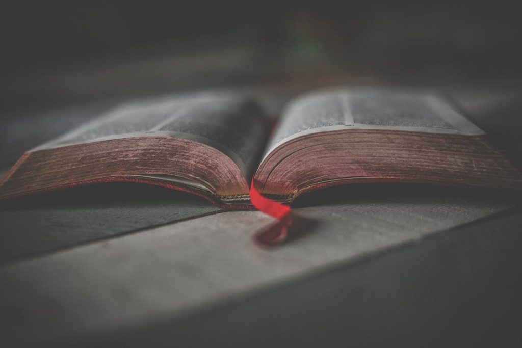 The Christian and the Bible