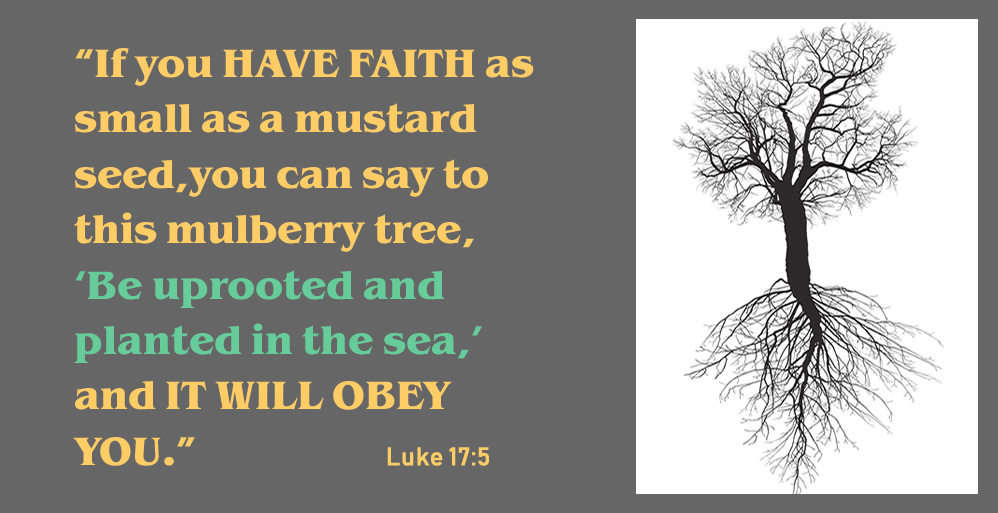 Increase Our Faith!