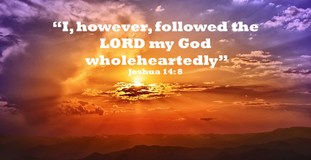 Serving the Lord Wholeheartedly
