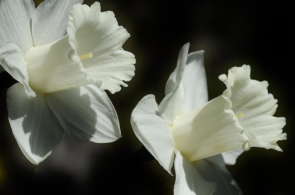 Tomb – Easter Poem