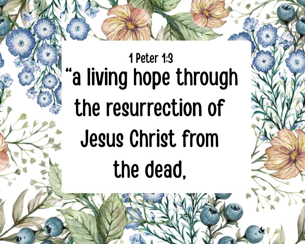Hope for a Hopeless World