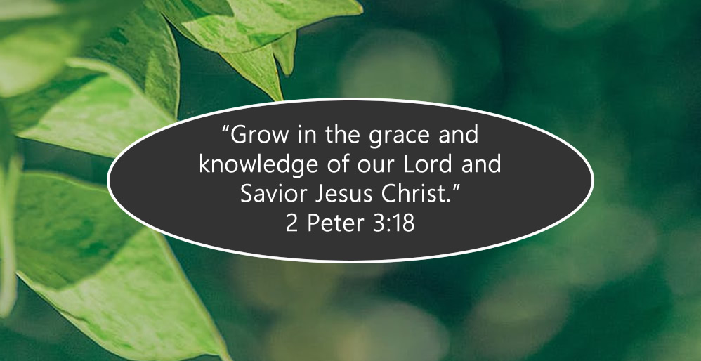 Grow In Grace