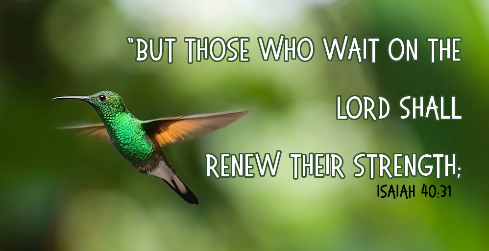 Wait on the Lord