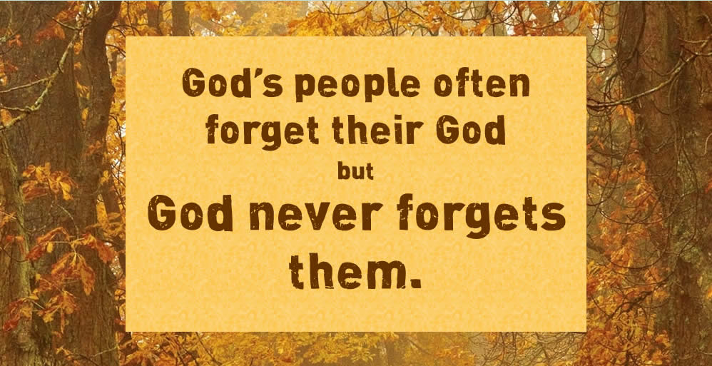 God Never Gives Up
