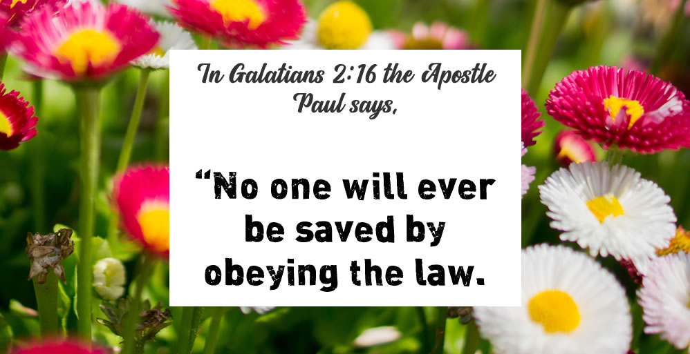 Defined by God’s Grace