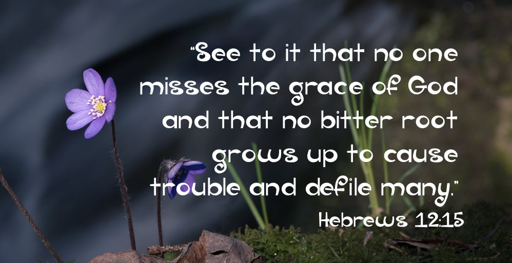 Grace Can Heal Hurts